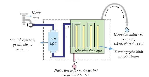 Quy trình tạo nước điện giải của máy điện giải nước ion kiềm