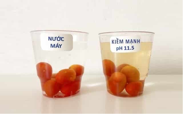 thí nghiệm ngâm cà chua bi với nước ion kiềm mạnh