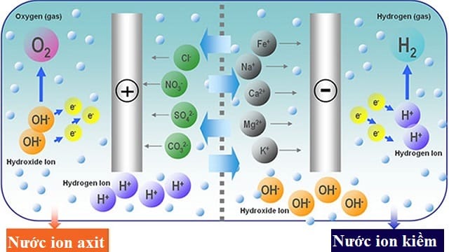 quá trình điện phân nước trong buồng điện phân