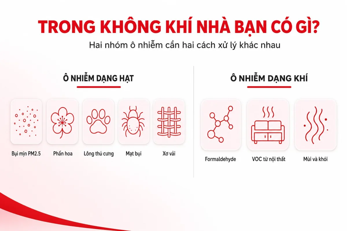 Các loại ô nhiễm trong nhà: bụi mịn PM2.5, phấn hoa, lông thú, mạt bụi, formaldehyde và VOC